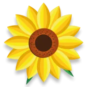 Ambulante Kinderintensivpflege Sonnenblümchen